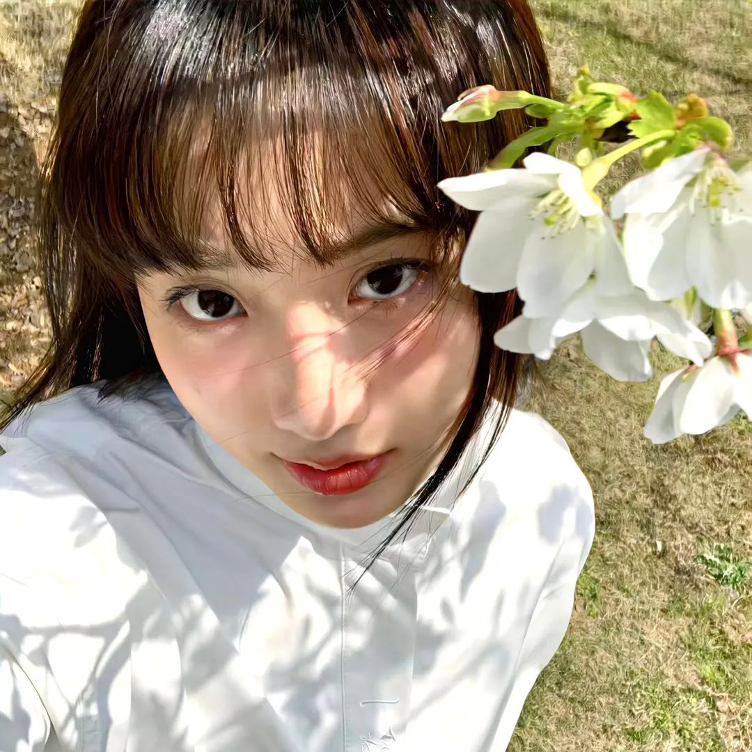小镇猪事